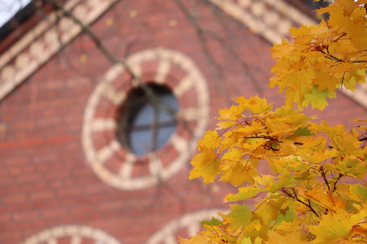 Außenansicht Klinikgebäude mit herbstlich gefärbten Baum 